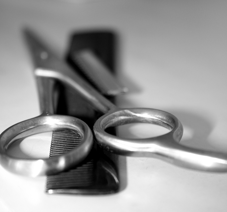 Scissors Comb (stock photo)
